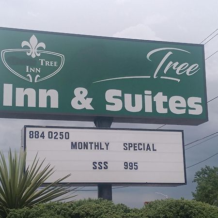 Tree Inn & Suites Albuquerque Exterior foto